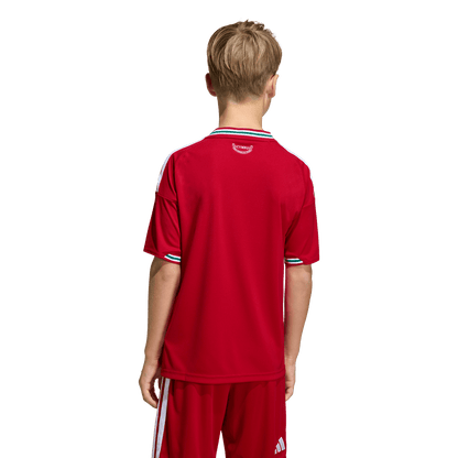 adidas Wales 2026 Youth Home Stadium Jersey