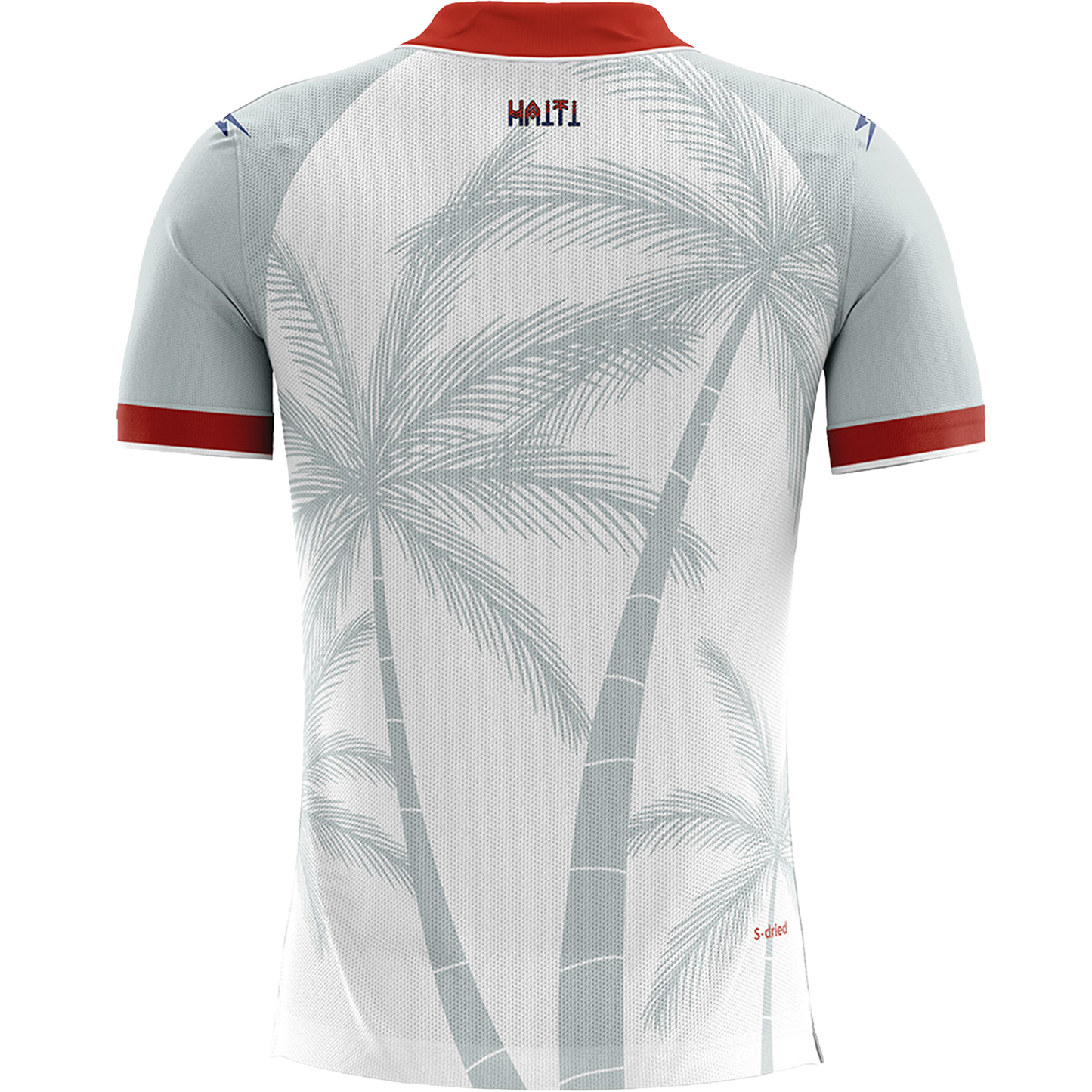 Saeta Men's Haiti 2026 Away Replica Jersey