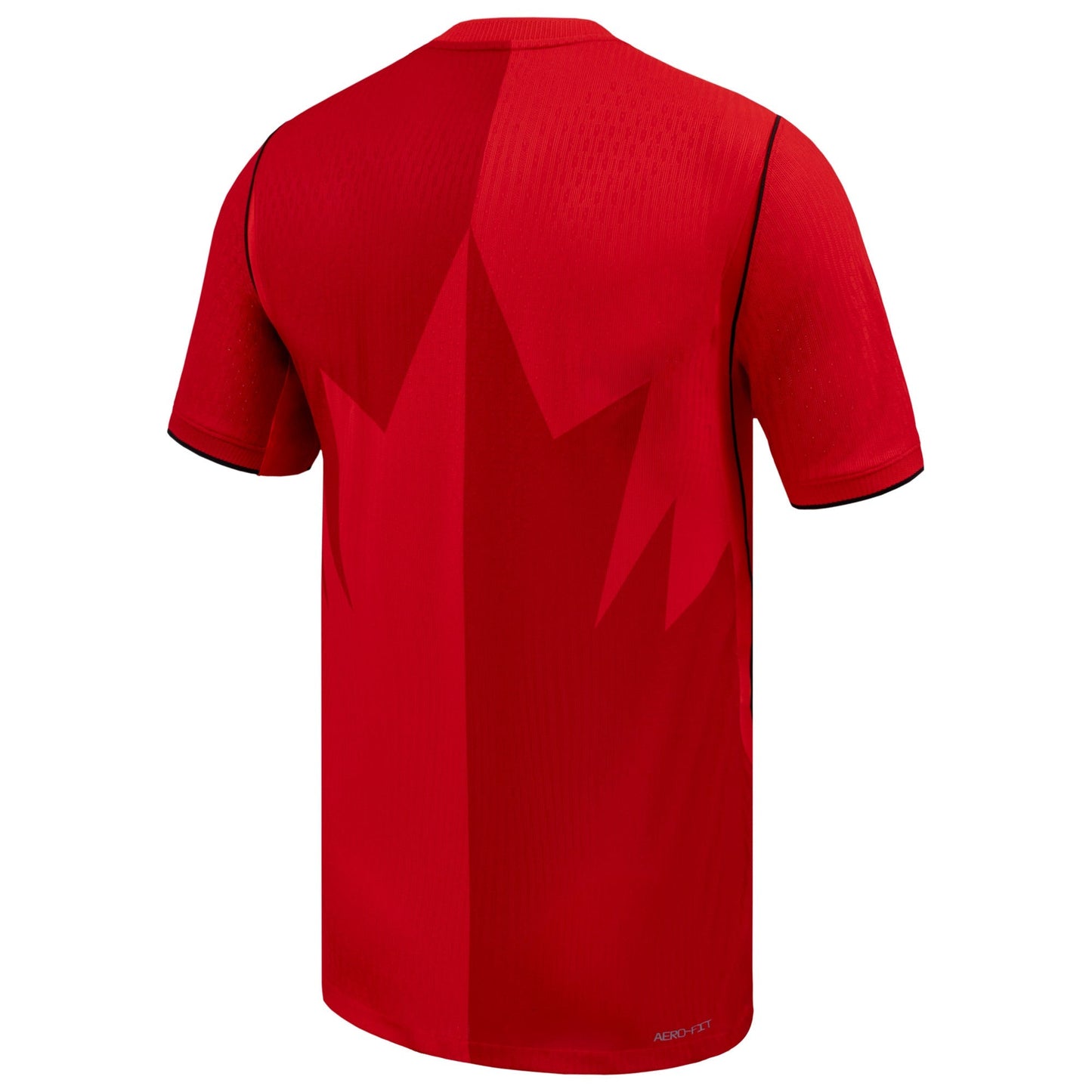 Nike Men's Canada Home 2026 Authentic Match Jersey